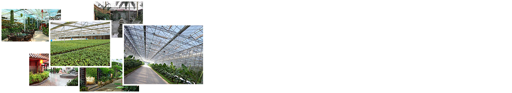 24小時(shí)免費咨詢(xún)、免費技術(shù)指導