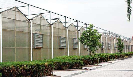 規模大，質(zhì)量好