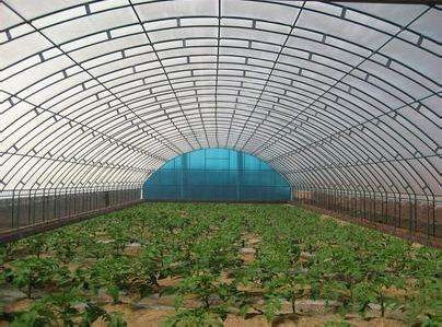 技術(shù)專(zhuān)業(yè)，服務(wù)到位