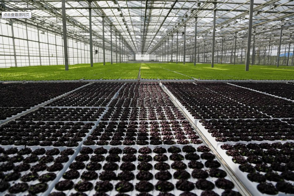 實(shí)力雄厚，品質(zhì)保證！