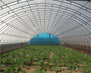 技術(shù)專(zhuān)業(yè)，服務(wù)到位