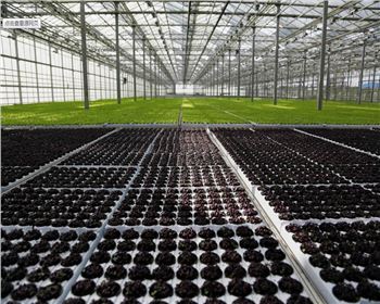 實(shí)力雄厚，品質(zhì)保證！